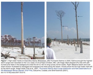 High Water Marks Katrina jpeg