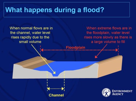 EA What Happens jpeg