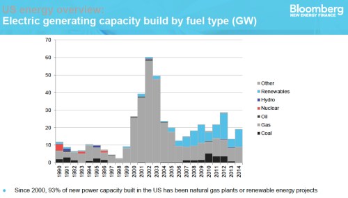 Electricity Generating Capacity by Fuel Type jpeg