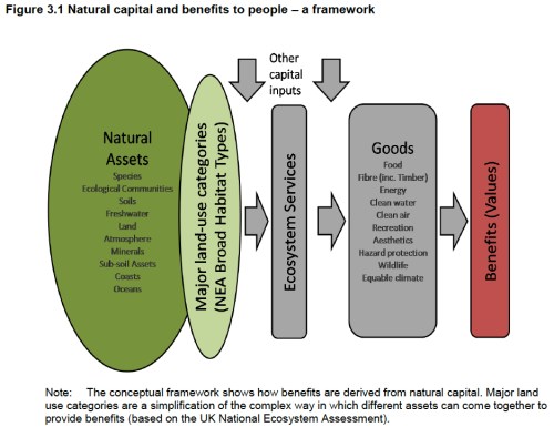 Natural Capital jpeg