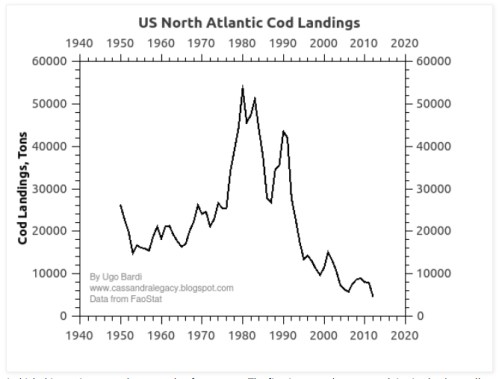 US Cod Landings Latest jpeg