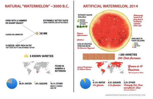Watermelon Development  jpg